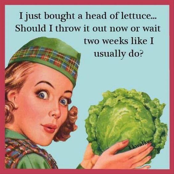 savelettuce
