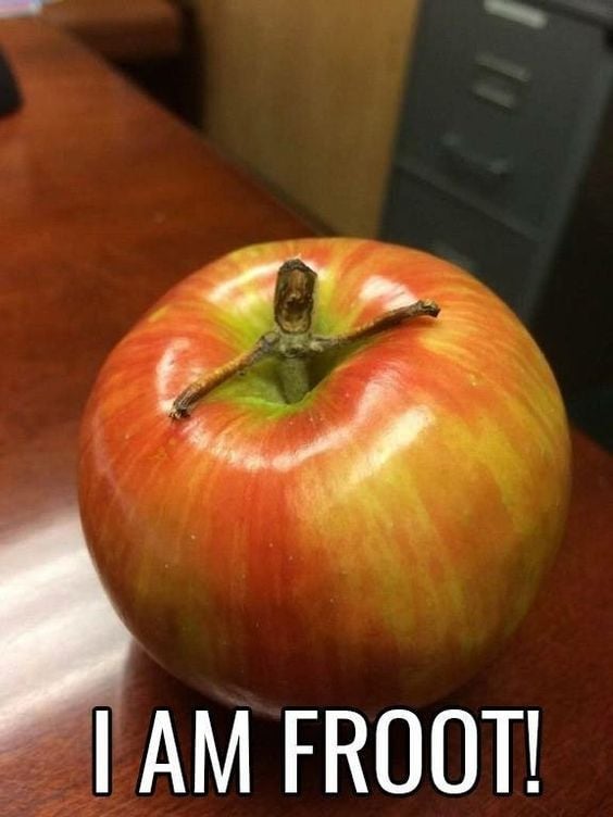 Froot