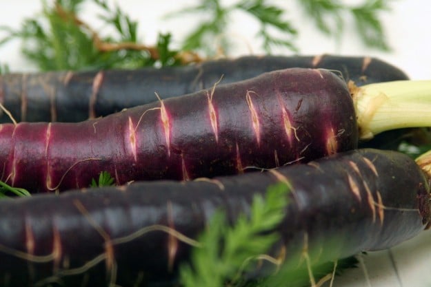 Purple Carrots