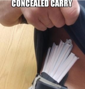 Concealed