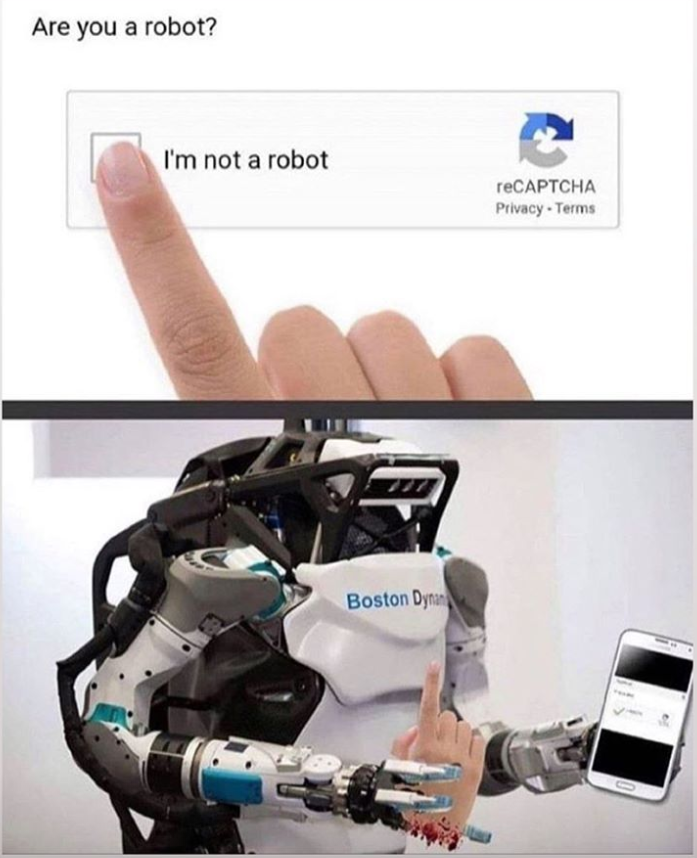 Robot