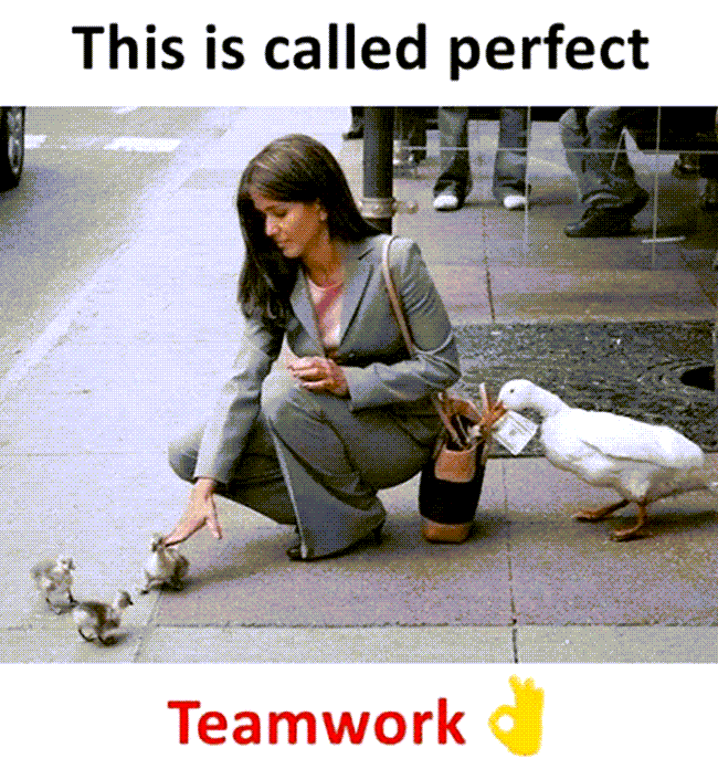 Teamwork