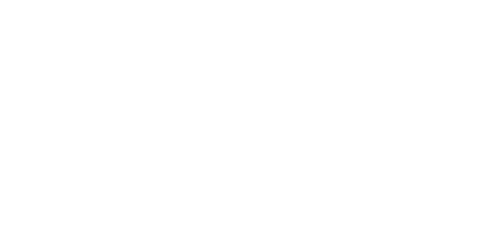 The Ferri Group